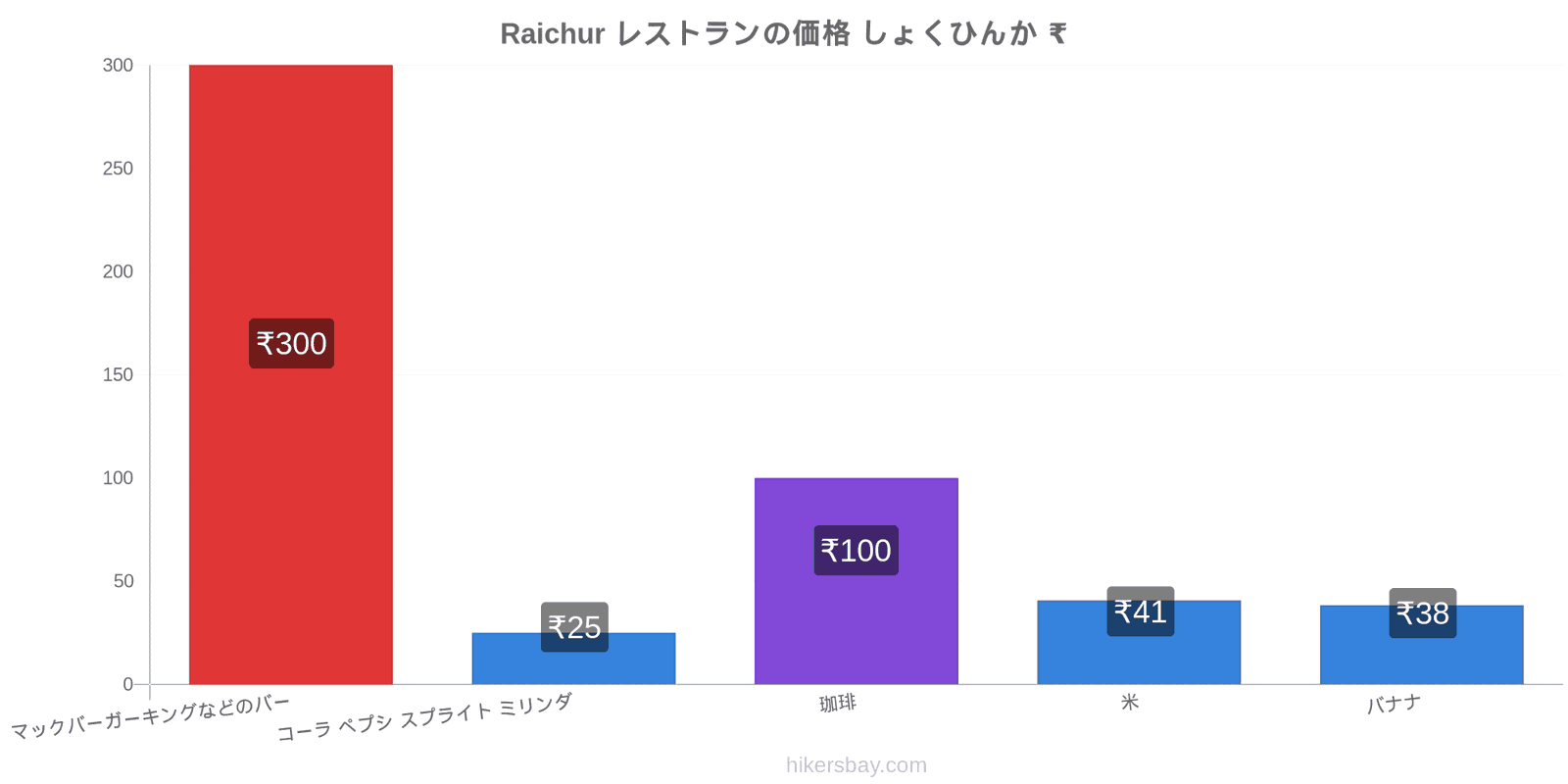 Raichur 価格の変更 hikersbay.com