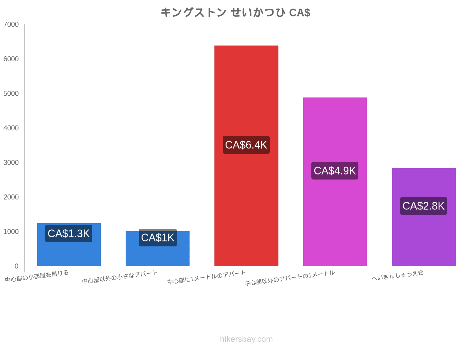 キングストン せいかつひ hikersbay.com